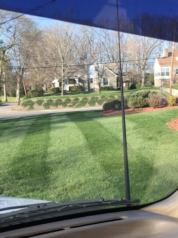 View from a car window of a neatly striped lawn and houses on a sunny day.