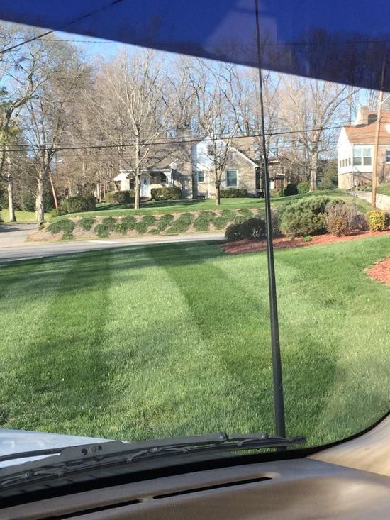 View from a car window of a neatly striped lawn and houses on a sunny day.