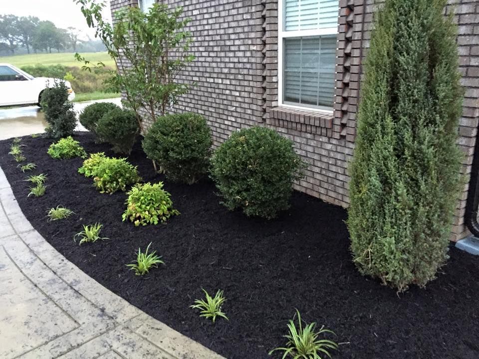 Landscaped yard with black mulch, green shrubs, brick wall, and a concrete path.