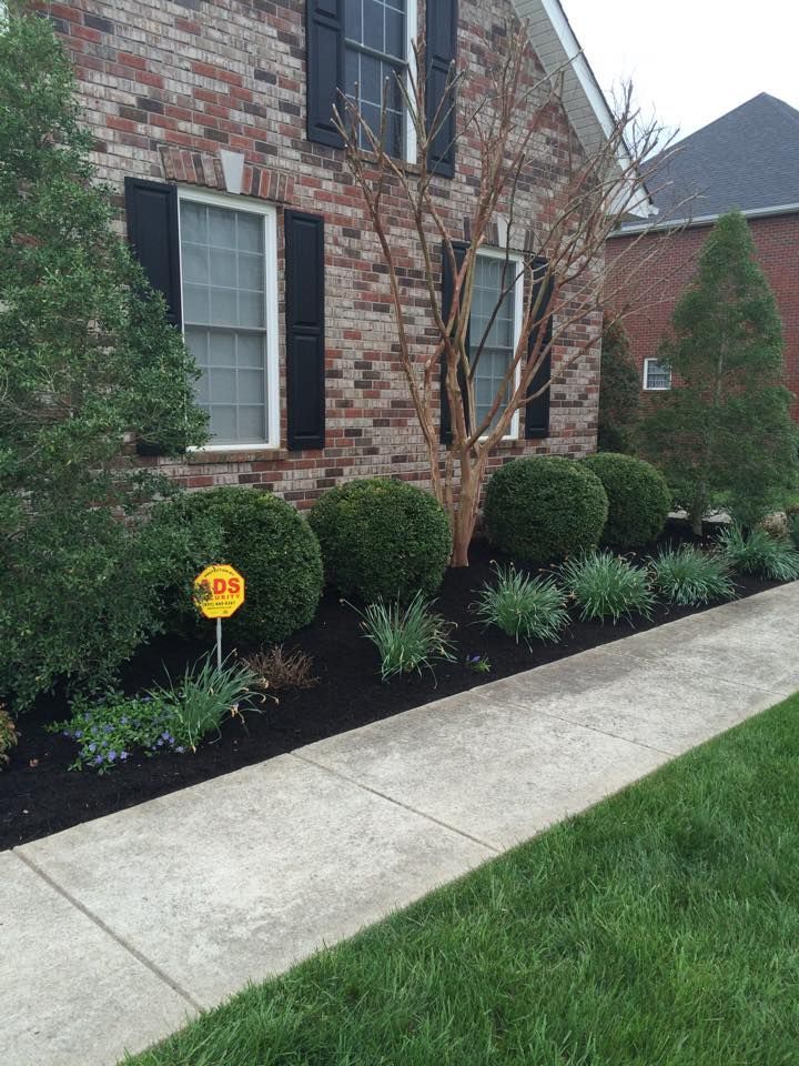 Brick house with black shutters, manicured shrubs, and a walkway bordered by green grass.