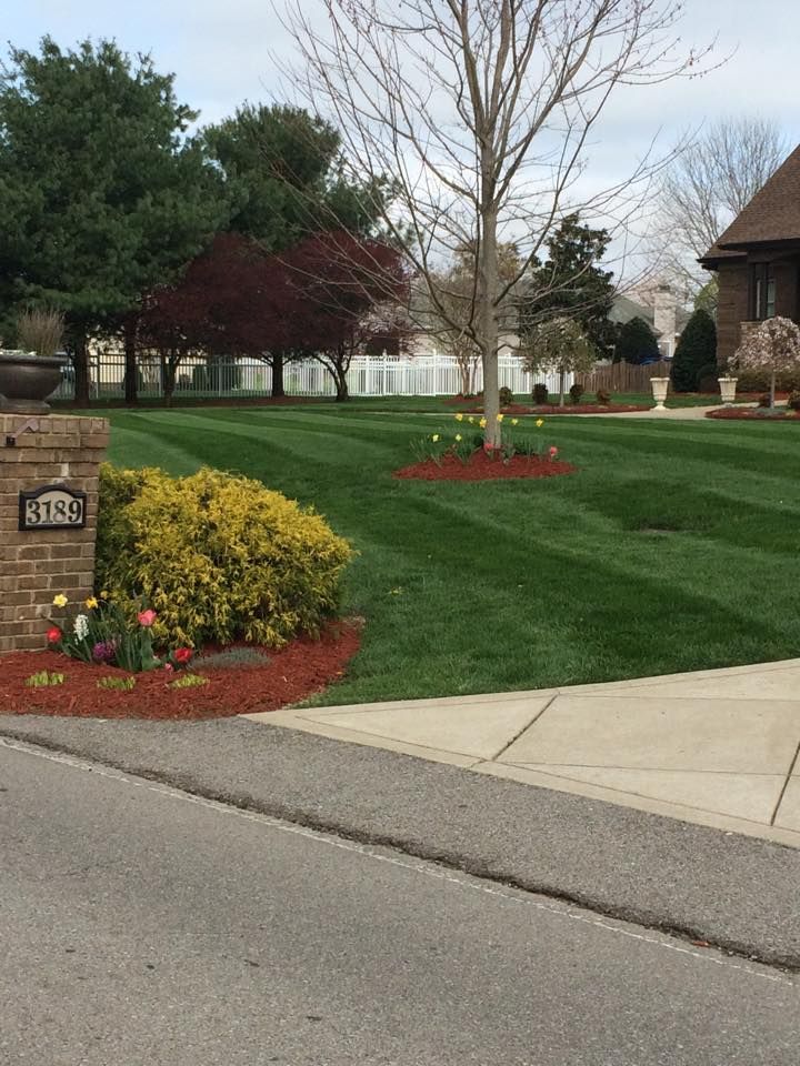 Well-manicured lawn with a house, a tree, and a mailbox. Spring foliage and red mulch are visible.