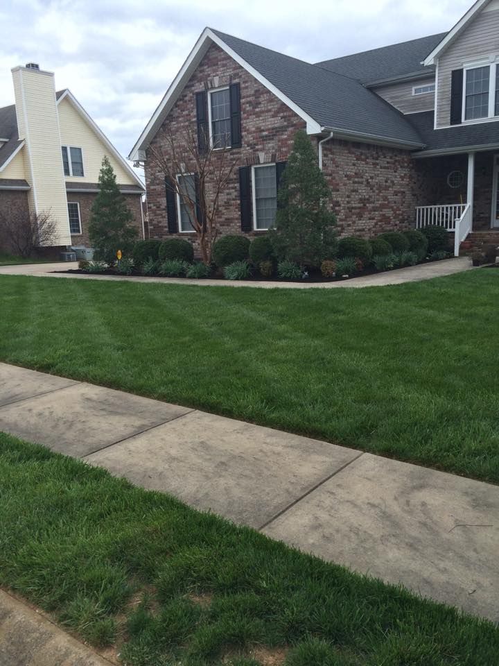 A well-manicured lawn and brick home with black shutters, sidewalk in foreground.