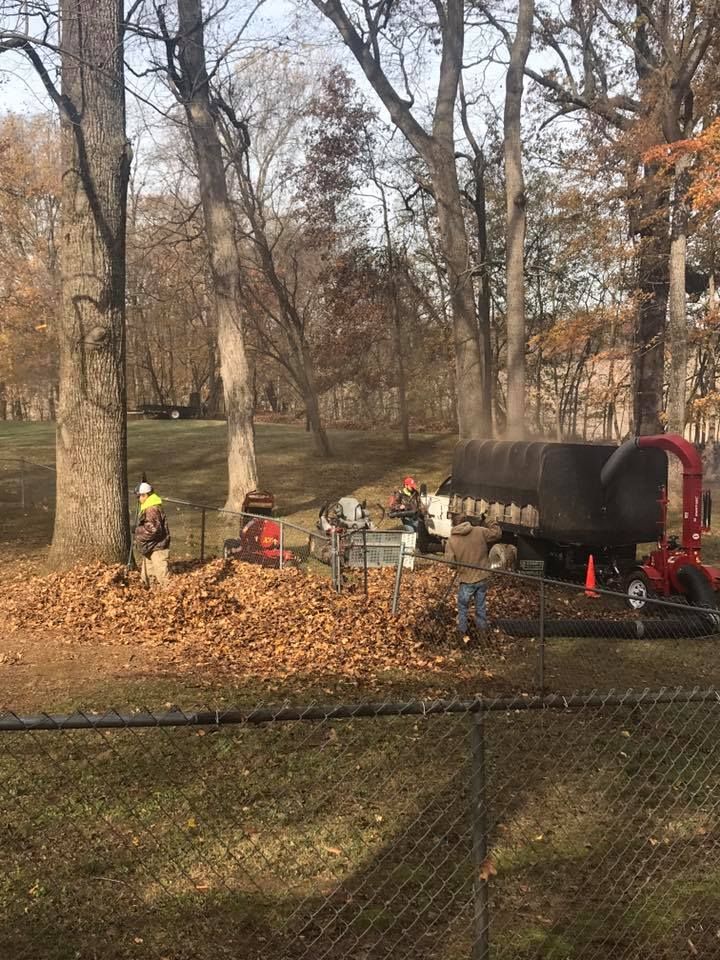 Workers with leaf vacuum equipment in a park, collecting fallen leaves.