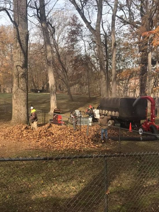 Workers with leaf vacuum equipment in a park, collecting fallen leaves.
