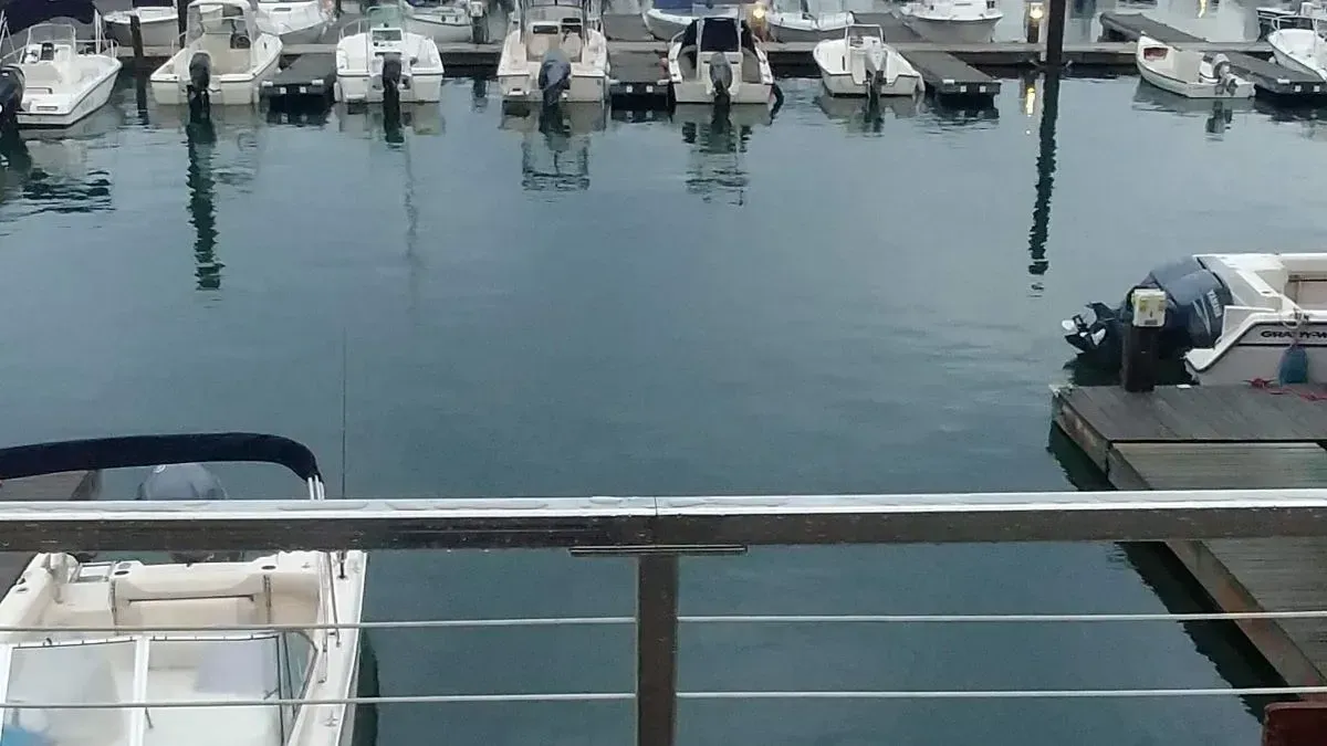 A row of boats are docked in a marina.