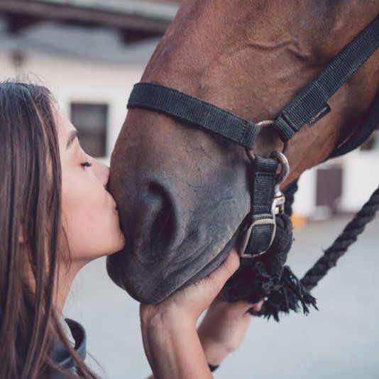 girl kissing horse