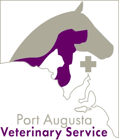 port augusta veterinary service
