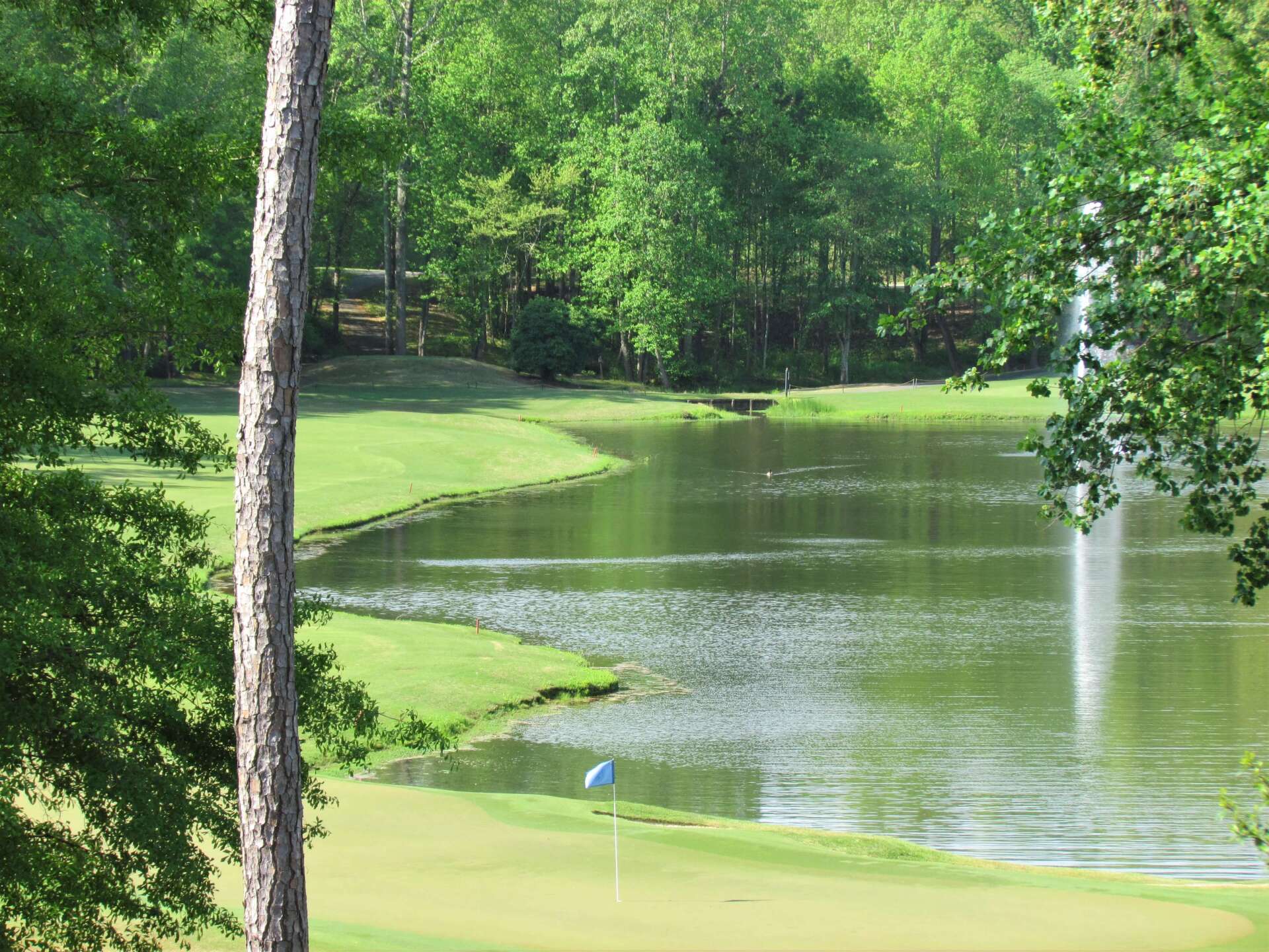 Jennings Mill Country Club Award Winning Golf Course