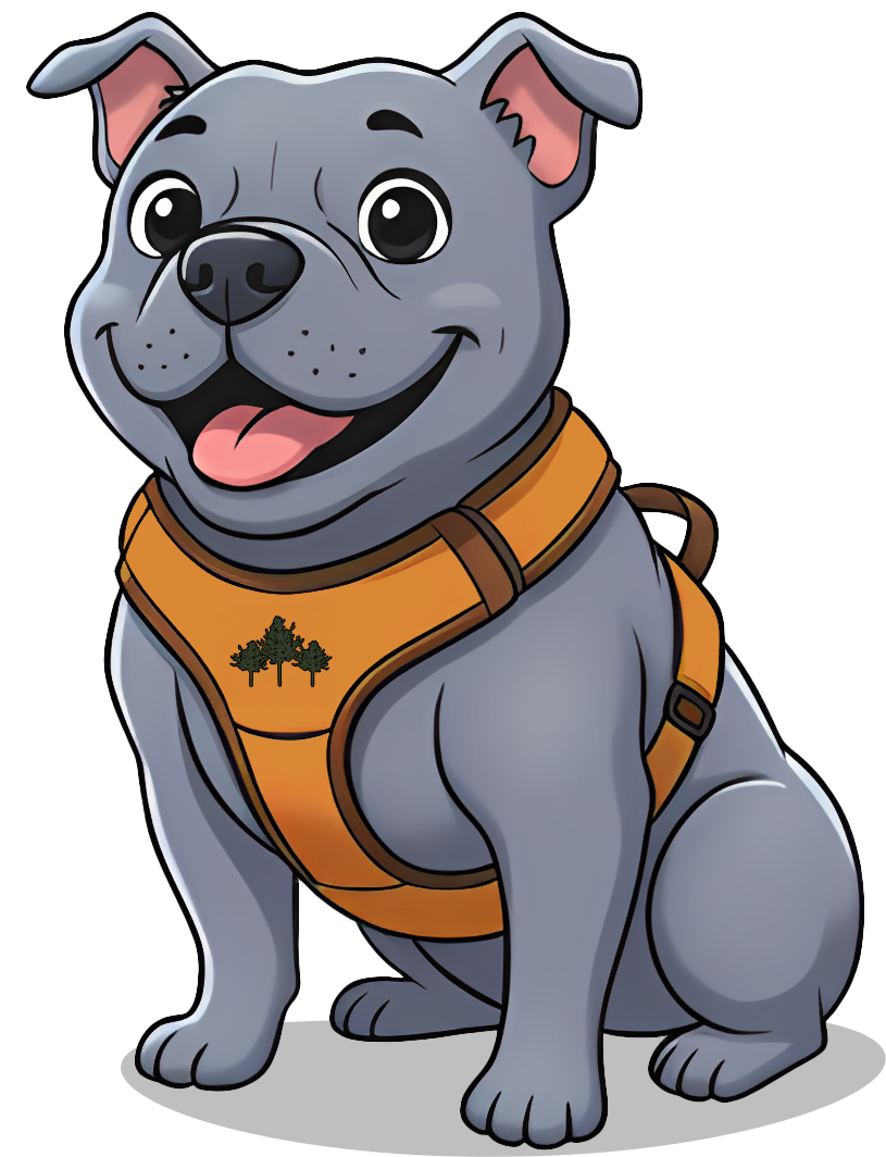 A happy, gray bulldog wearing an orange harness with a tree emblem, sitting against a white background.