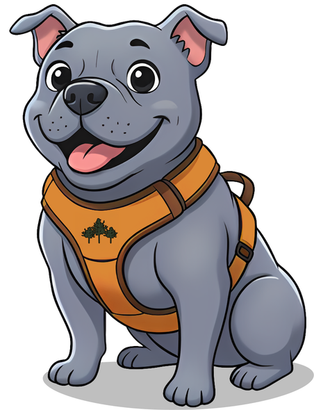 A happy, gray bulldog wearing an orange harness with a tree emblem, sitting against a white background.