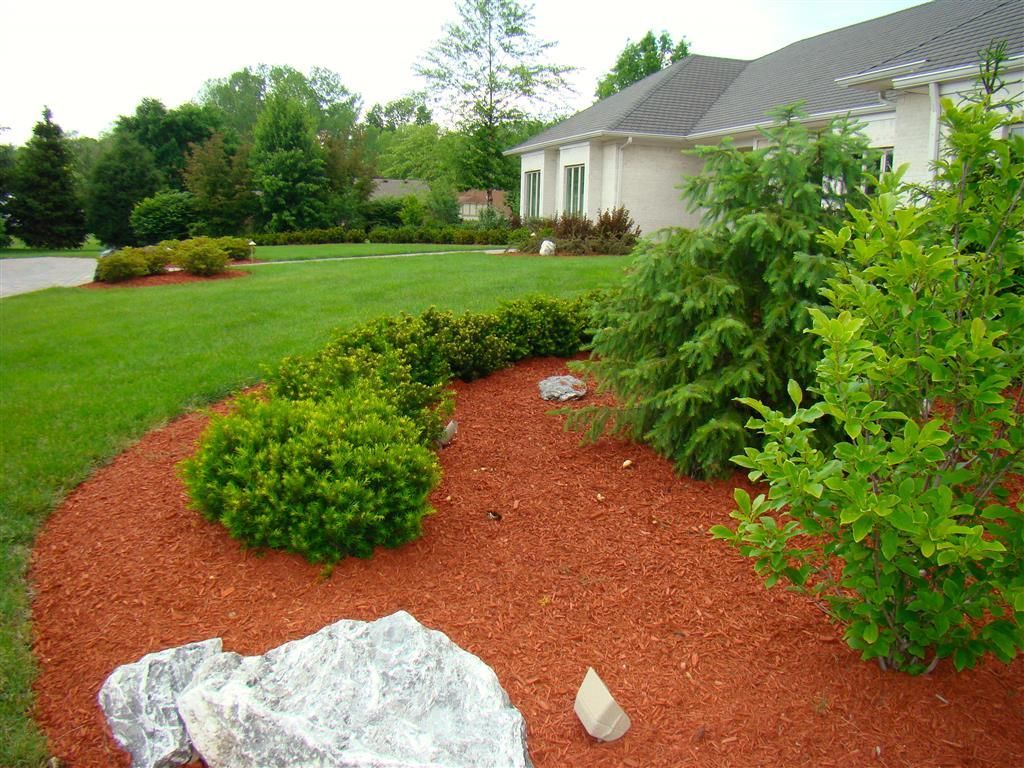 A landscaped yard with a curved bed of red mulch, large decorative rocks, and green shrubs in front of a white house.