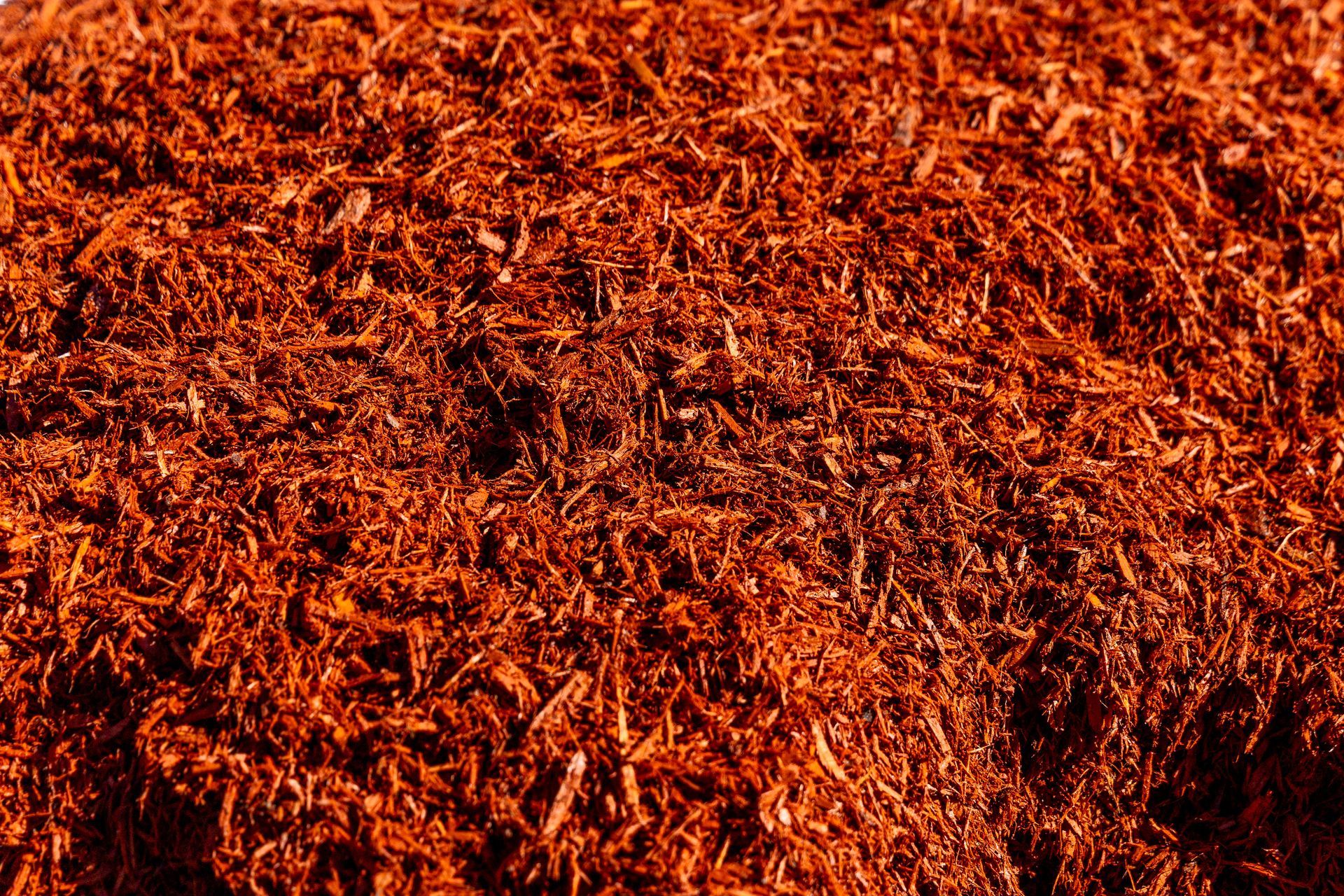 A close-up view of a pile of finely shredded, red mulch.