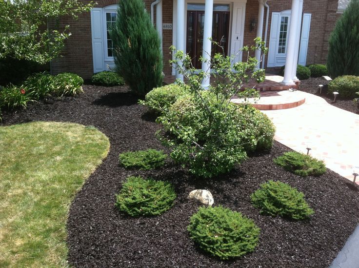 A home front garden bed with dark mulch, several low-growing evergreen shrubs, and a central bushy plant near a walkway.