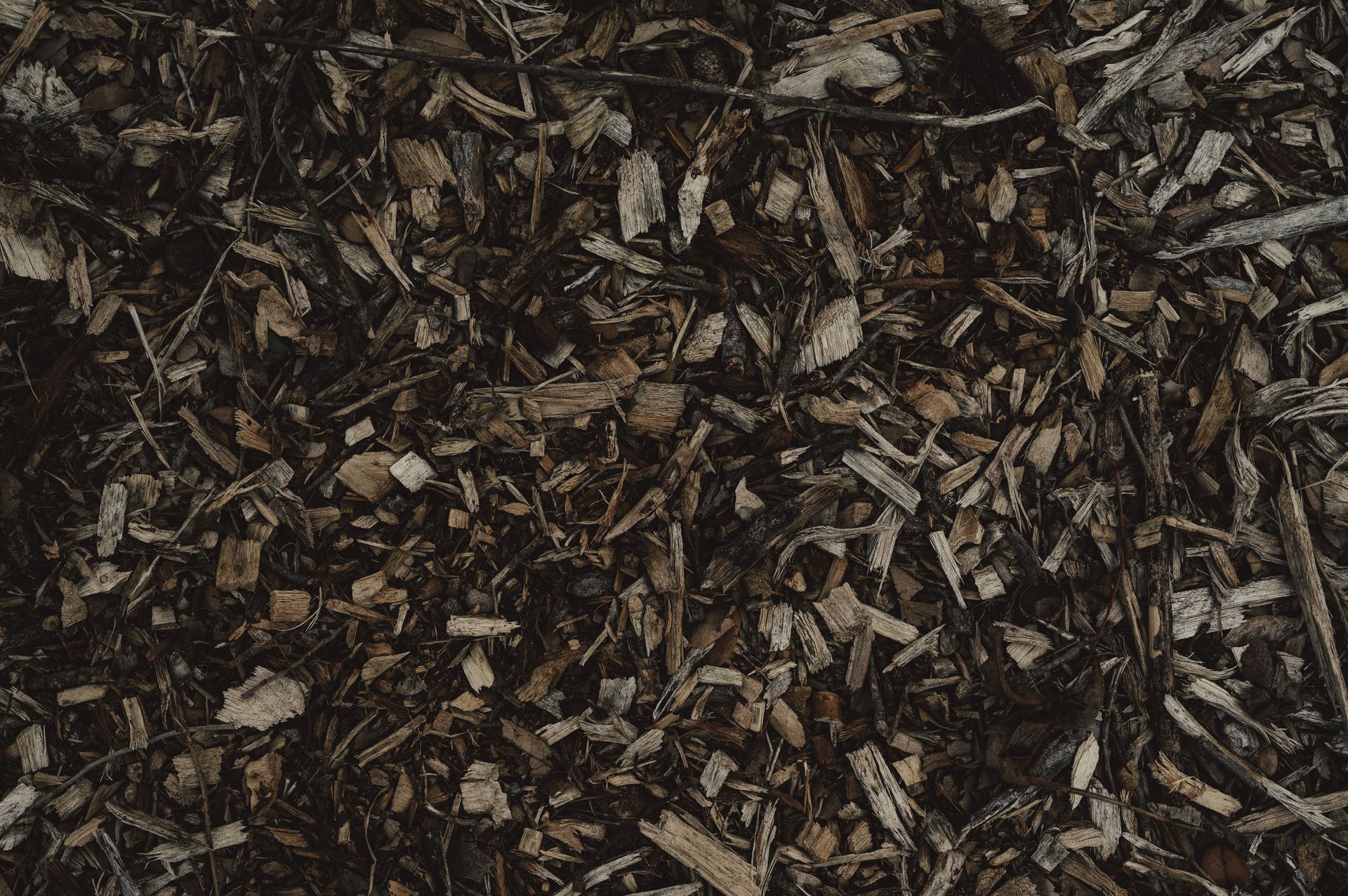 Close-up of dark brown wood chips and mulch covering the ground.