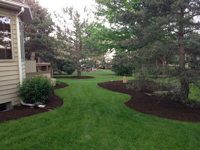 A green lawn with curved, dark mulch beds surrounding trees and the side of a tan house.
