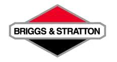 Briggs & Stratton Racing Engines and Parts At Kart-O-Rama.