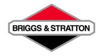 Briggs & Stratton Racing Engines and Parts At Kart-O-Rama.