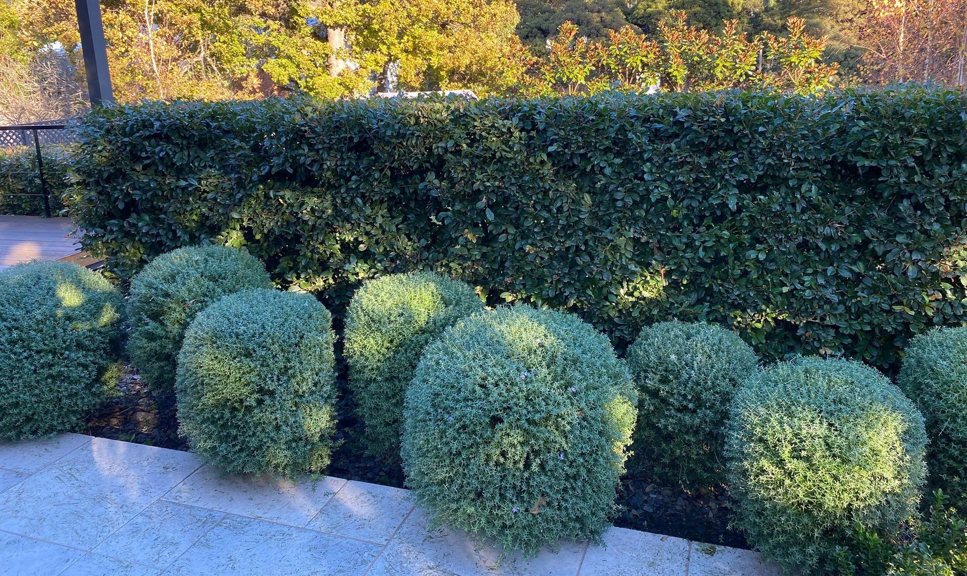 A man is planting flowers in a garden.