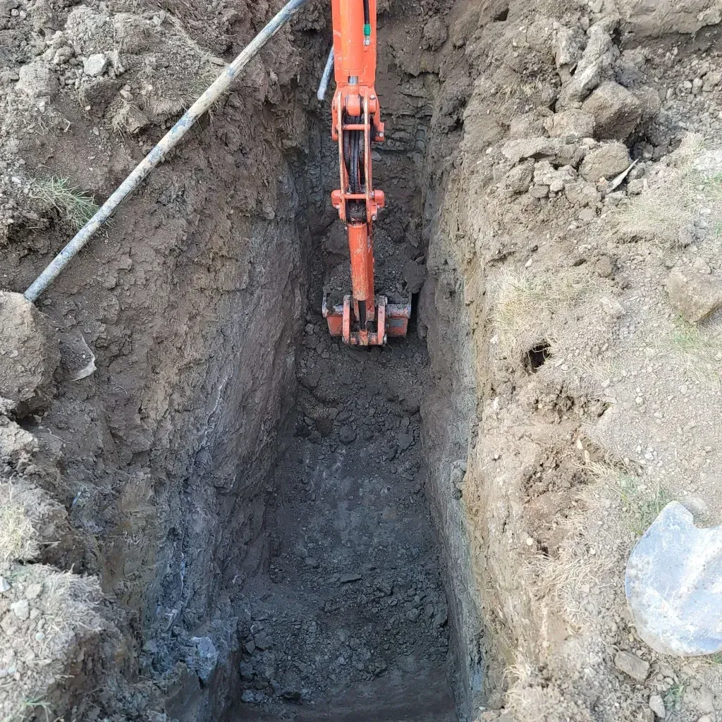 A man is planting flowers in a garden.