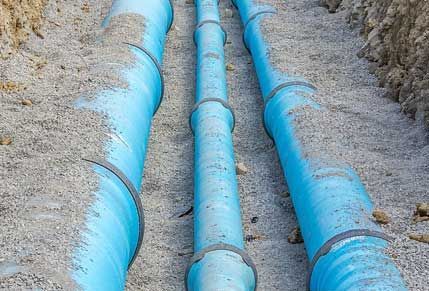 A man is planting flowers in a garden.