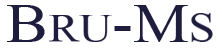 BRU-MS Autonoleggio logo