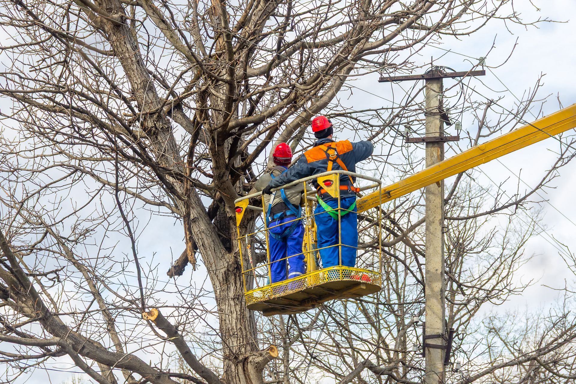 Two arborists in a hydraulic aerial platform use a chainsaw to cut tree branches. Two arborists in a hydraulic aerial platform use a chainsaw to cut tree branches.