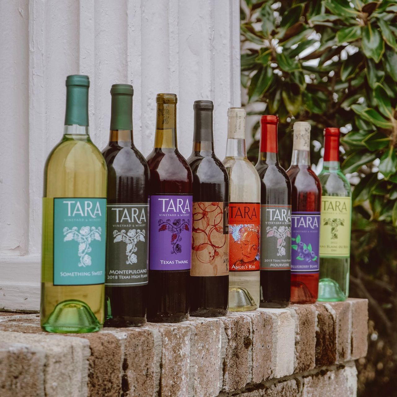 Several bottles of tara wine are lined up on a brick wall