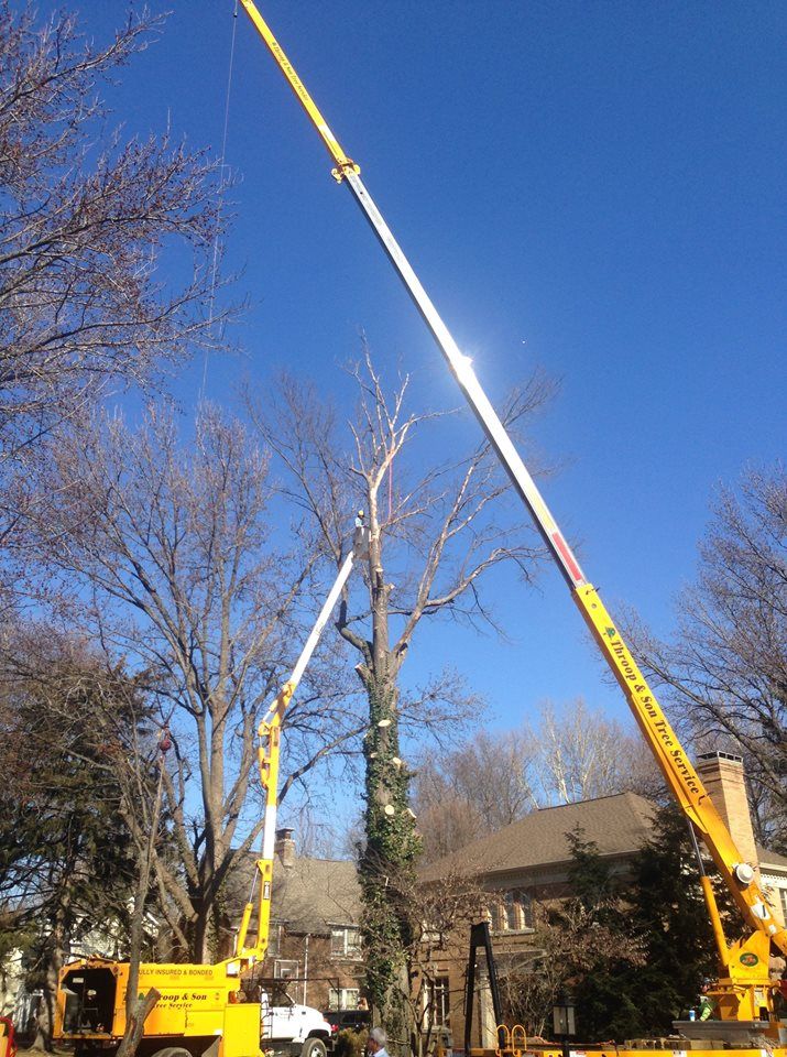Tree Trimming Services— Aerial Ladder Truck Trimming Trees In Springfield, IL Tree Trimming Services— Aerial Ladder Truck Trimming Trees In Springfield, IL