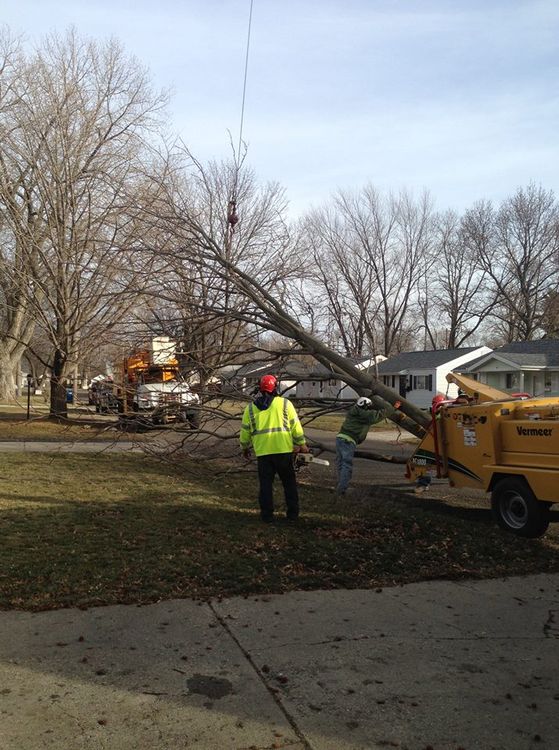 Emergency Tree Removal — Removing Tree Using Truck With Boom In Springfield, IL