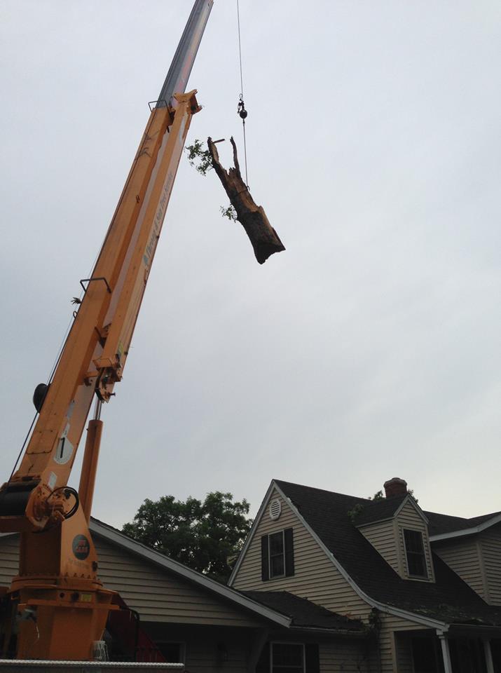 Tree Removal — Aerial Ladder Truck Removing The Tree In Springfield, IL Tree Removal — Aerial Ladder Truck Removing The Tree In Springfield, IL