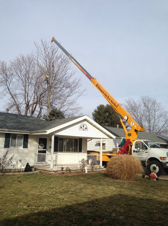 Lot Clearing  — Truck With Boom Removing The Tree In Springfield, IL