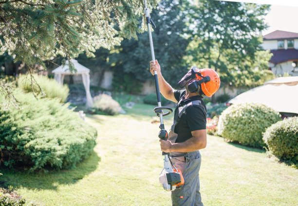 Man in orange hardhat trims tree branches with a pole saw in a sunny backyard.