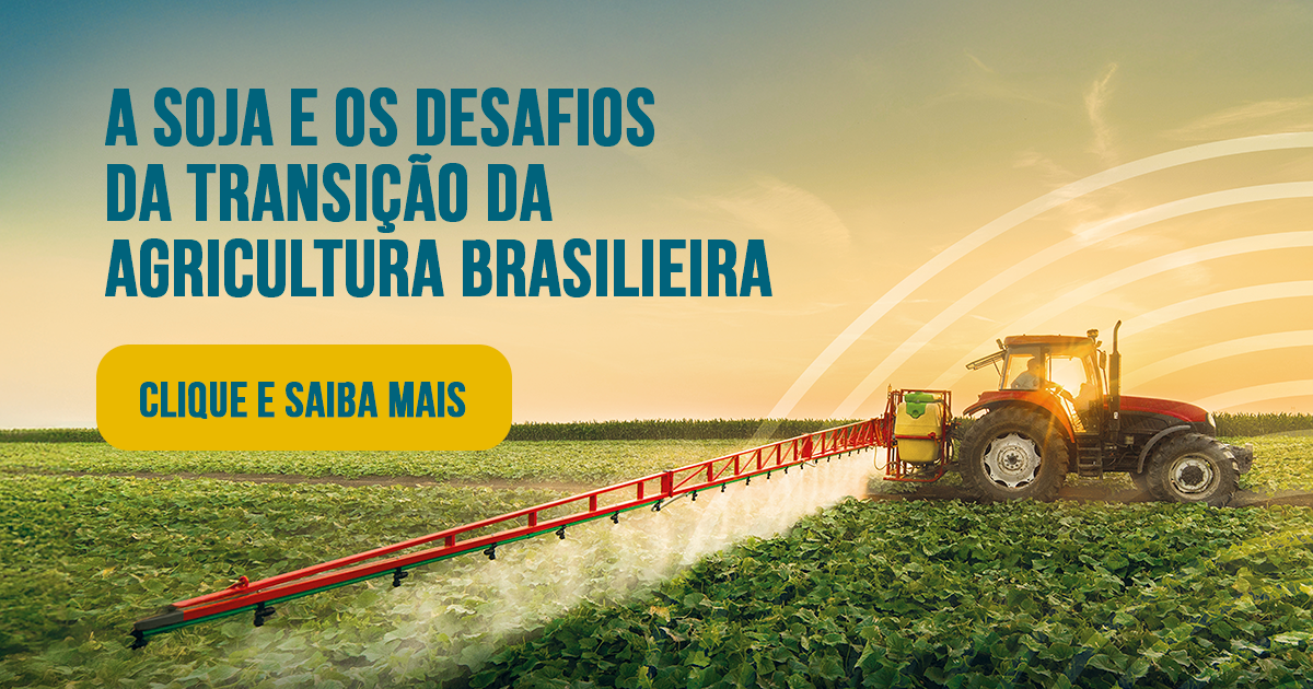 A soja e os desafios da transição da Agricultura Brasileira - 