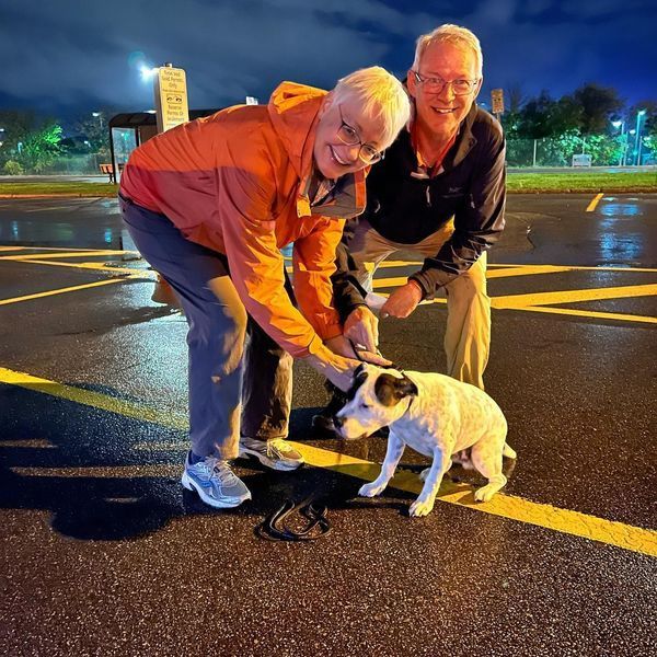 Two people in an outdoor parking lot with a white and black dog