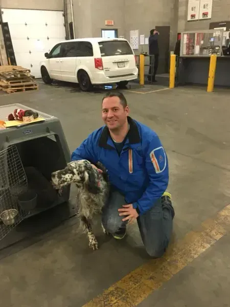 Man kneels with spotted dog in front of carrier in a warehouse