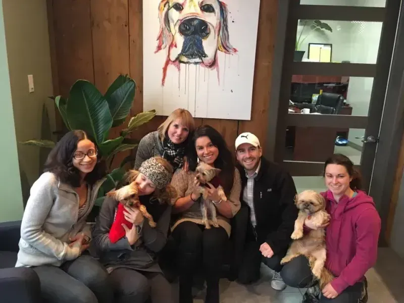 People with dogs pose in an office