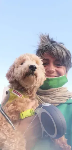 Person holding a fluffy dog wearing a yellow harness