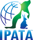 Ipata