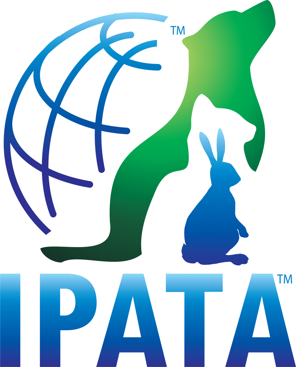 Ipata
