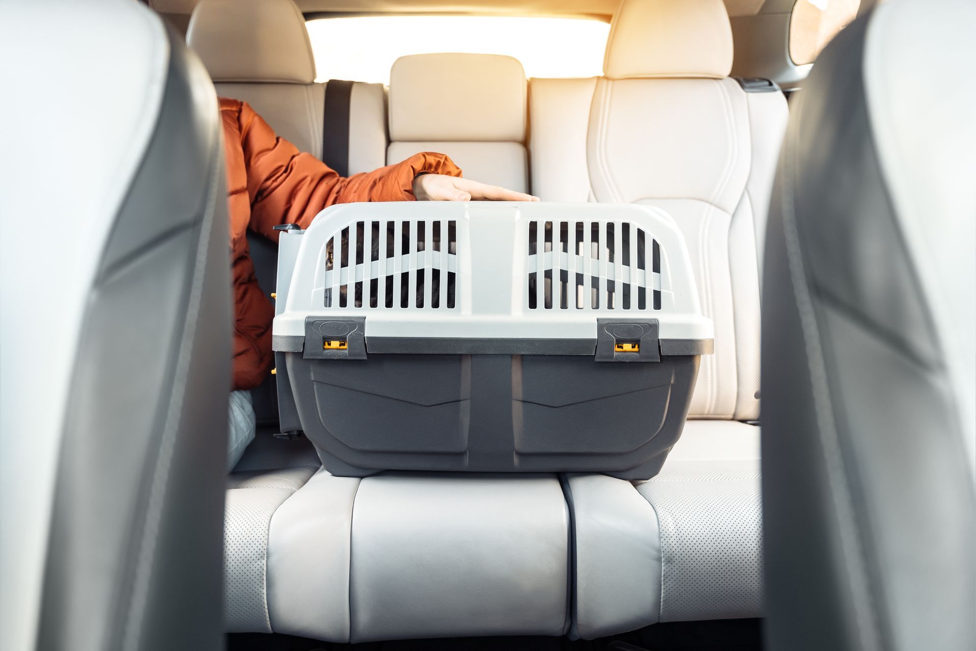 Pet carrier in the backseat of a car with a person's arm resting on it, beige interior.