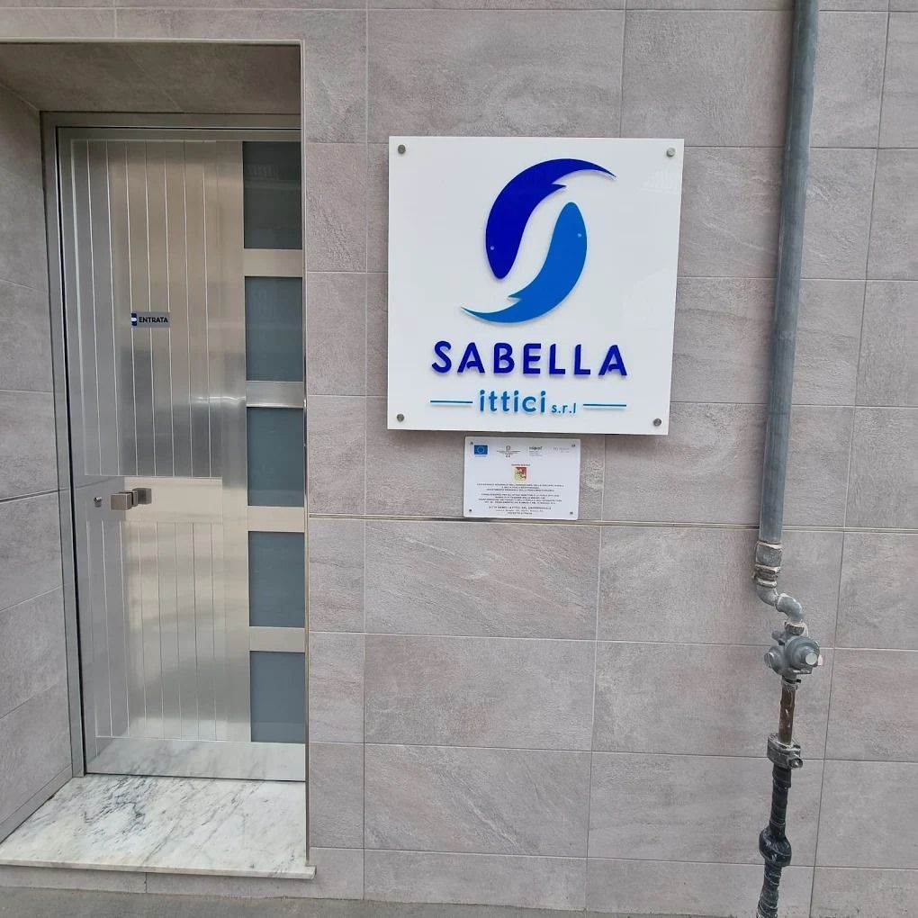 ingrosso sabella ittici