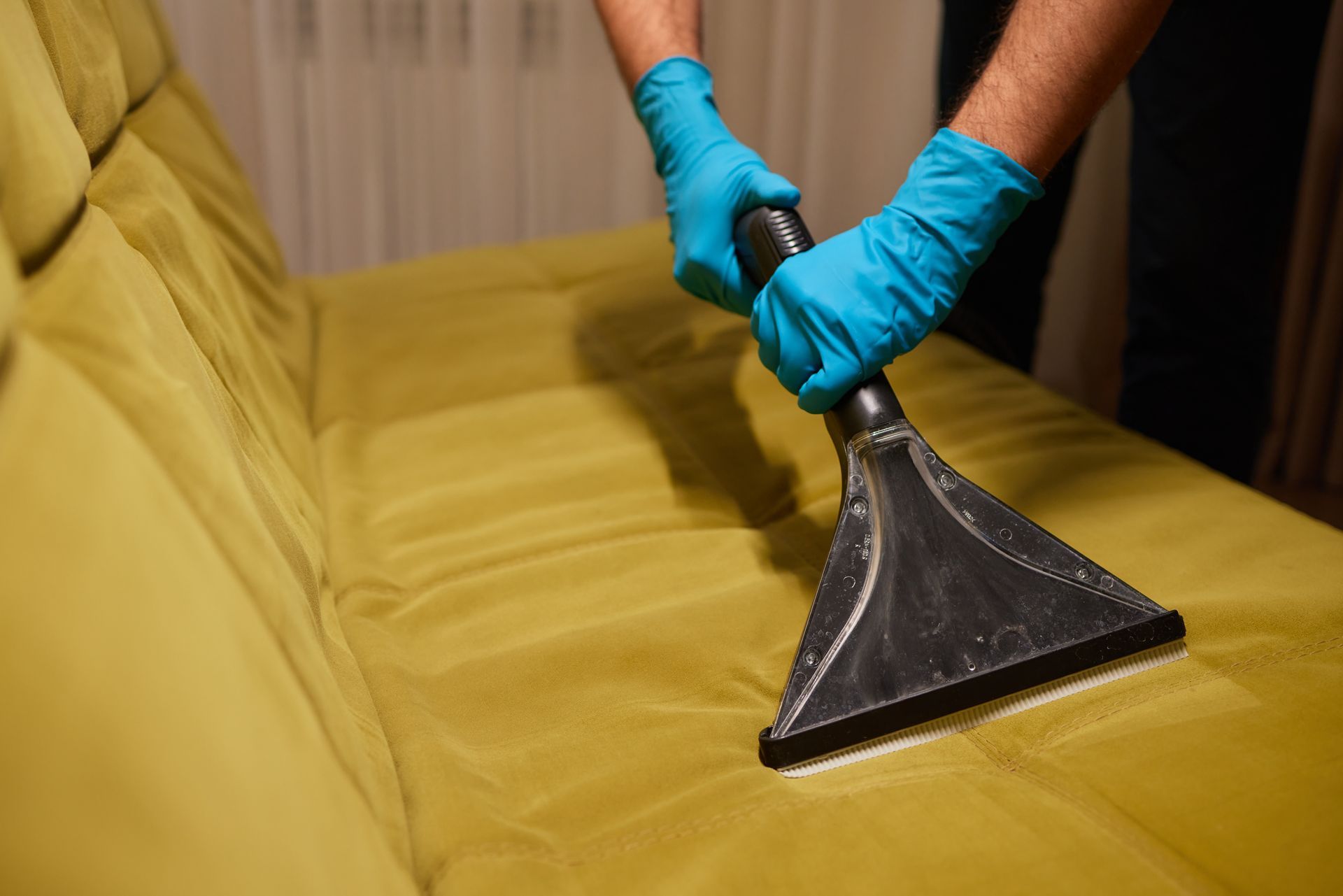 Person in blue gloves cleaning a green couch with a black upholstery cleaner.