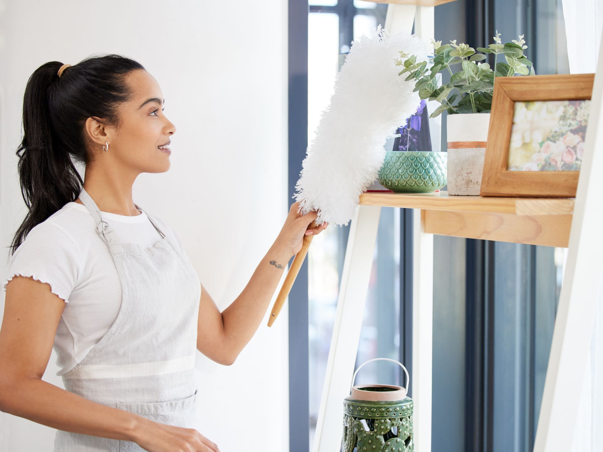 woman dusting plants on the shelf