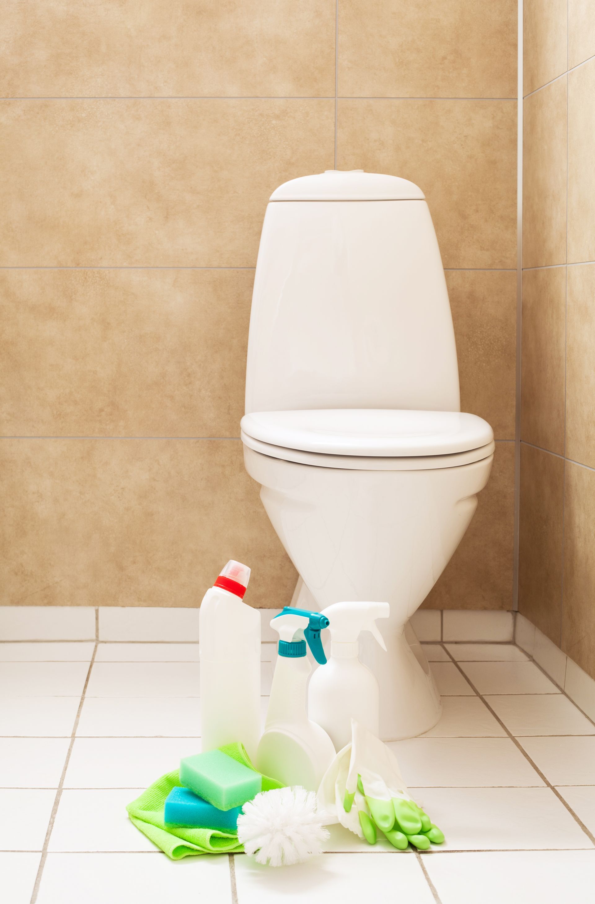 toilet with cleaning products
