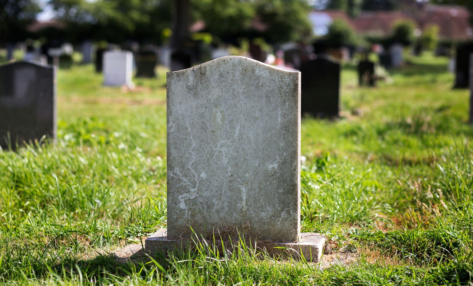 Pale yellow rose on a gray granite headstone. Blurred background.