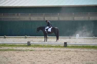 Horse and rider performing dressage in an arena; dark horse, rider in black, white saddle pad, green building in background.
