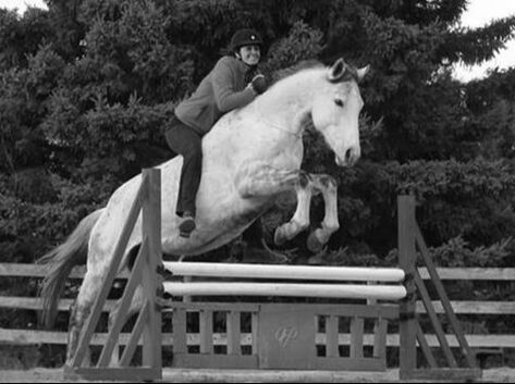 Woman on a gray horse jumps a wooden fence during equestrian competition.