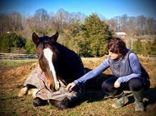 Woman petting a dark brown horse lying on the ground, wearing a blanket. Outdoors, sunny day.