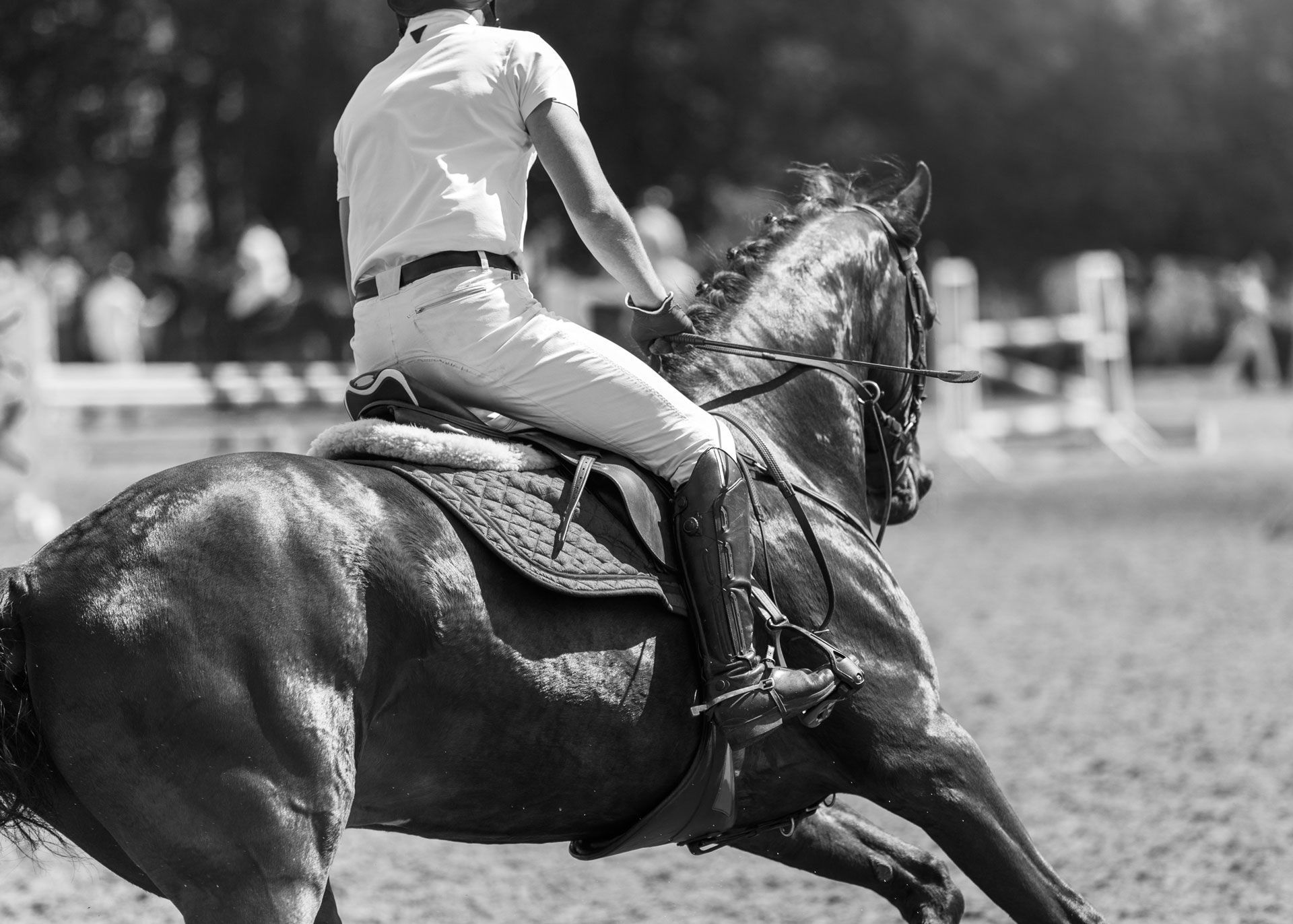 Horse and rider jumping, in an outdoor competition. Rider in white, black horse, blurred background.
