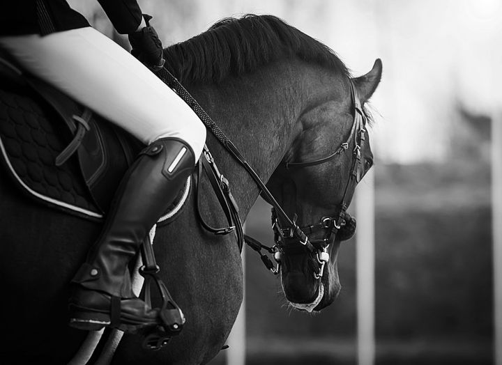 Black and white photo of a horse and rider. The rider's leg is over the saddle, the horse wearing a bridle, head bowed.